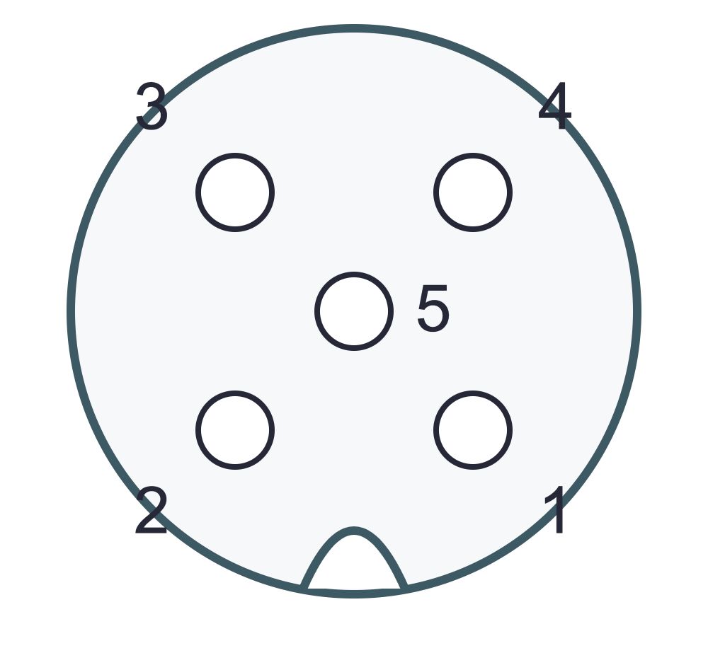 5-contact M12 A-coded female mating face with the key down and numbered contacts